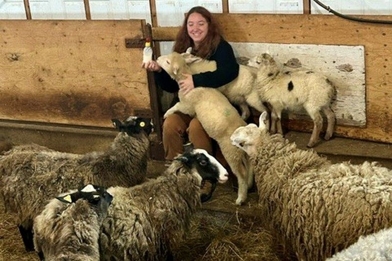 Une nouvelle vie pour une ferme de Dudswell